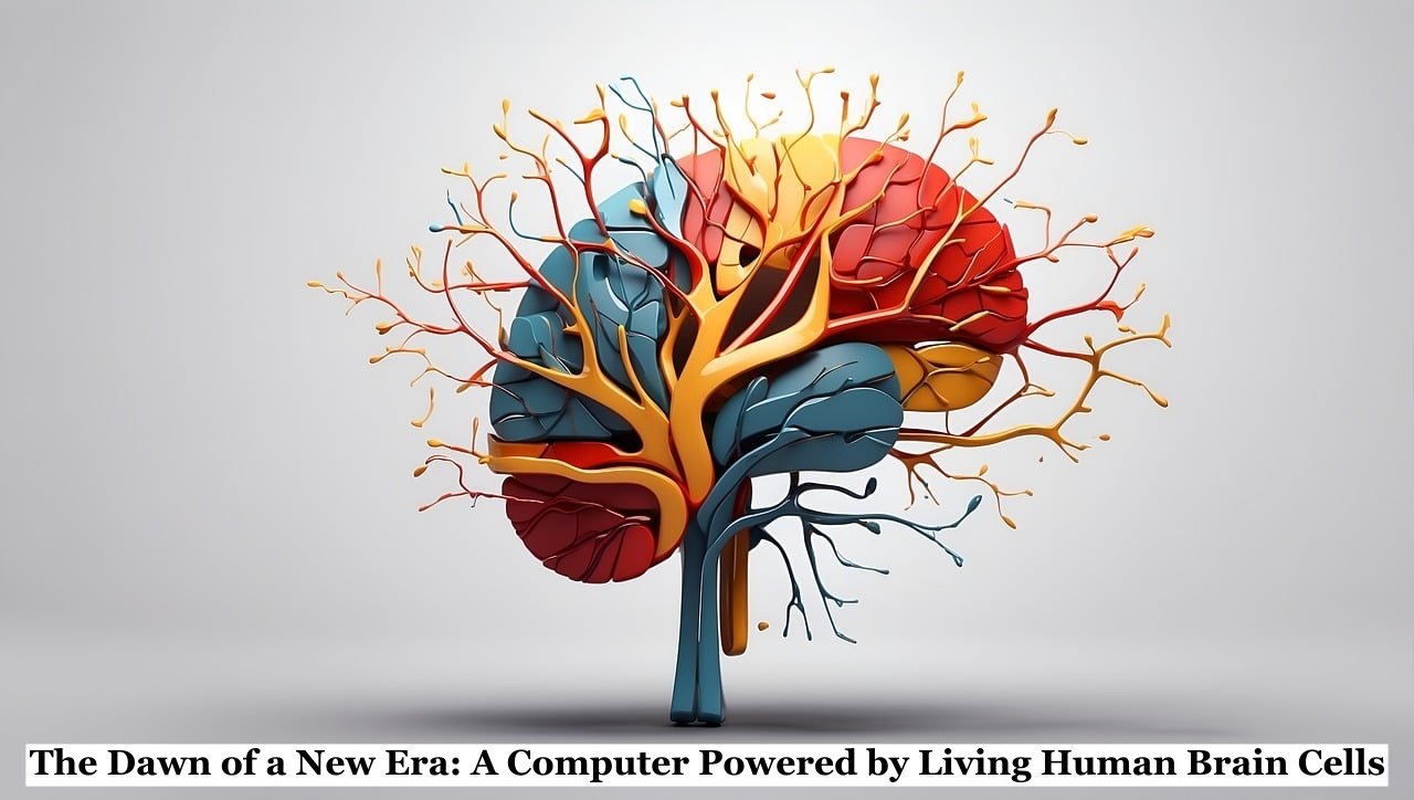 The Dawn of a New Era: A Computer Powered by Living Human Brain Cells